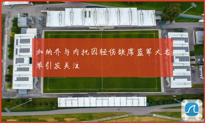 加纳乔与内托因轻伤缺席蓝军大名单引发关注